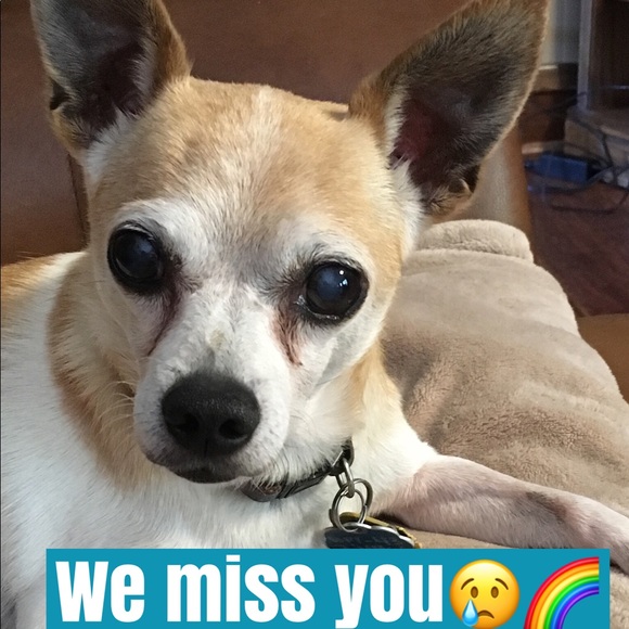 Meet your Posher, Tina - Picture 10 of 16